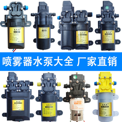 手提12v双泵车载变频电动喷雾器