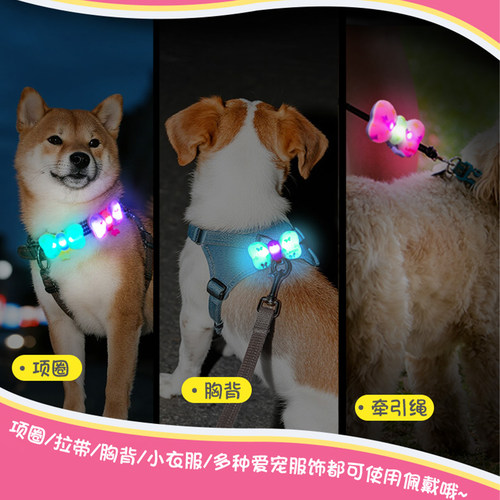 莱诺新款夜间出行可充电猫狗吊坠