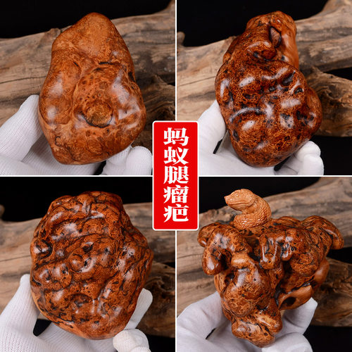 【高货】蚂蚁腿黑金刚太行崖柏陈化瘤手把件瘿瘤骨料天然随形味香 - 封面
