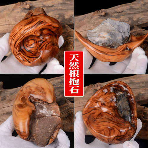 稀有太行崖柏天然根抱石手把件