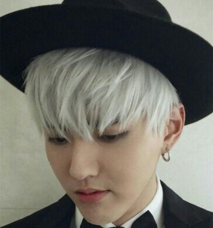 Perruque MIEAR cheveux raides Court - Ref 2607775 Image 1