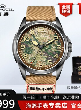 正品海鸥表男士手表夜光防水军旅风男款兵哥全自动机械表男表1072
