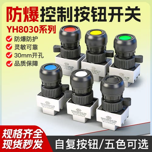 30mm防爆BA8030控制塑料按钮开关自复旋钮蜂鸣器指示灯24/220