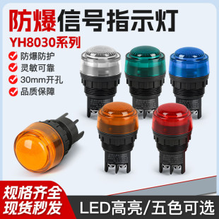 防爆指示灯8030信号灯220V380VIP65防水防爆箱电源灯LED红绿30孔