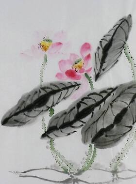 手绘字画书画客厅装饰画热销I072595三尺斗方无款国画花鸟画荷花