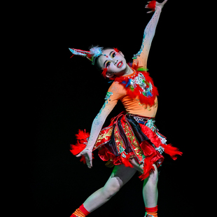 丹凤朝阳 中 国 舞 ( 独 舞 ) 定制舞台演出舞蹈服装