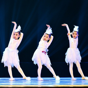 《振鹭于飞》中 国 舞 ( 群 舞 ) 定制舞台演出舞蹈服装舞蹈