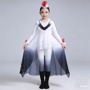 鹤归来兮白色水墨风古典舞蹈服装女飘逸渐变长裙舞台演出表演服饰