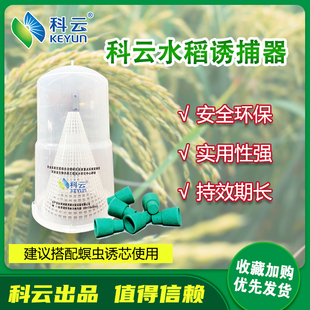 水稻诱捕器诱捕大螟二化螟三化螟稻纵卷叶螟棉铃虫昆虫信息素诱芯
