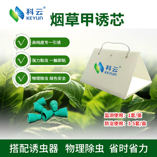 科云烟草甲诱捕套装  烟草甲性信息素粘虫板 诱捕烟草甲