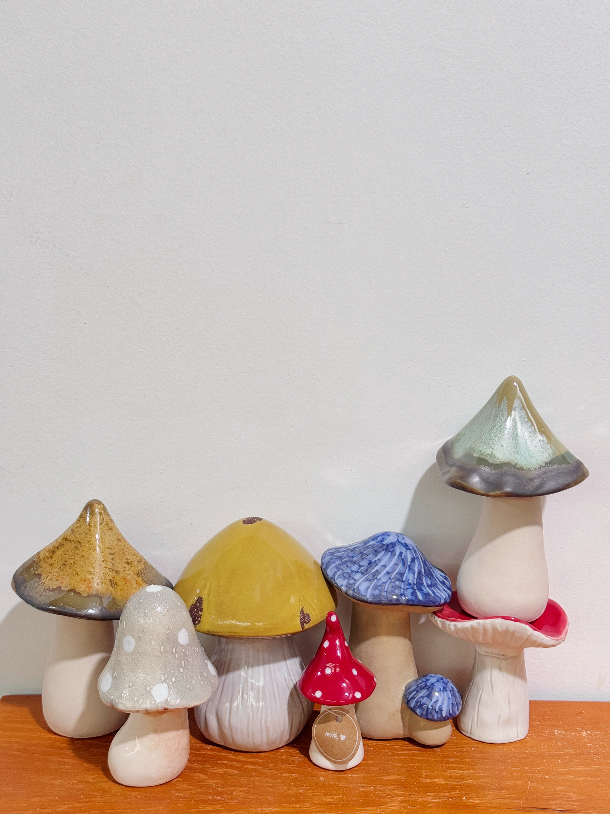 外贸孤品 蘑菇系列花盆、摆件、多肉花盆、储物桶、笔筒,家居饰品,花瓶,淘宝优惠券,粉丝福利购,淘宝优惠卷