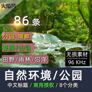 商用无损◆湿地公园鸟类森林环境音效包大自然草原山谷沼泽素材包
