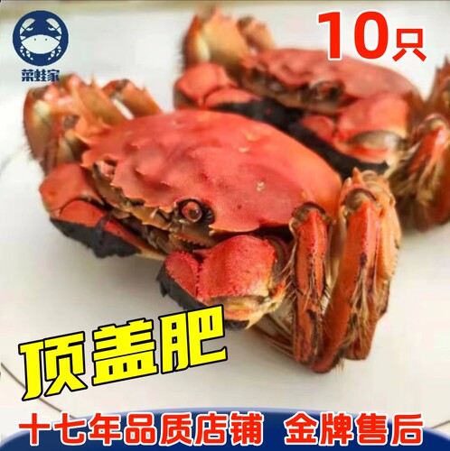 黄蟹公蟹净重盘锦河蟹大闸蟹活蟹礼盒母蟹大螃蟹稻田蟹现货包邮