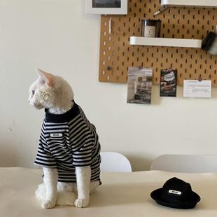 秋冬阿比西尼亚猫无毛猫衣服德文猫纯棉T恤条纹狗狗打底衫小猫潮