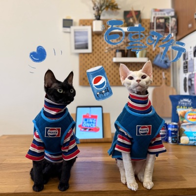 太酷了吧！好帅的可乐加厚套装