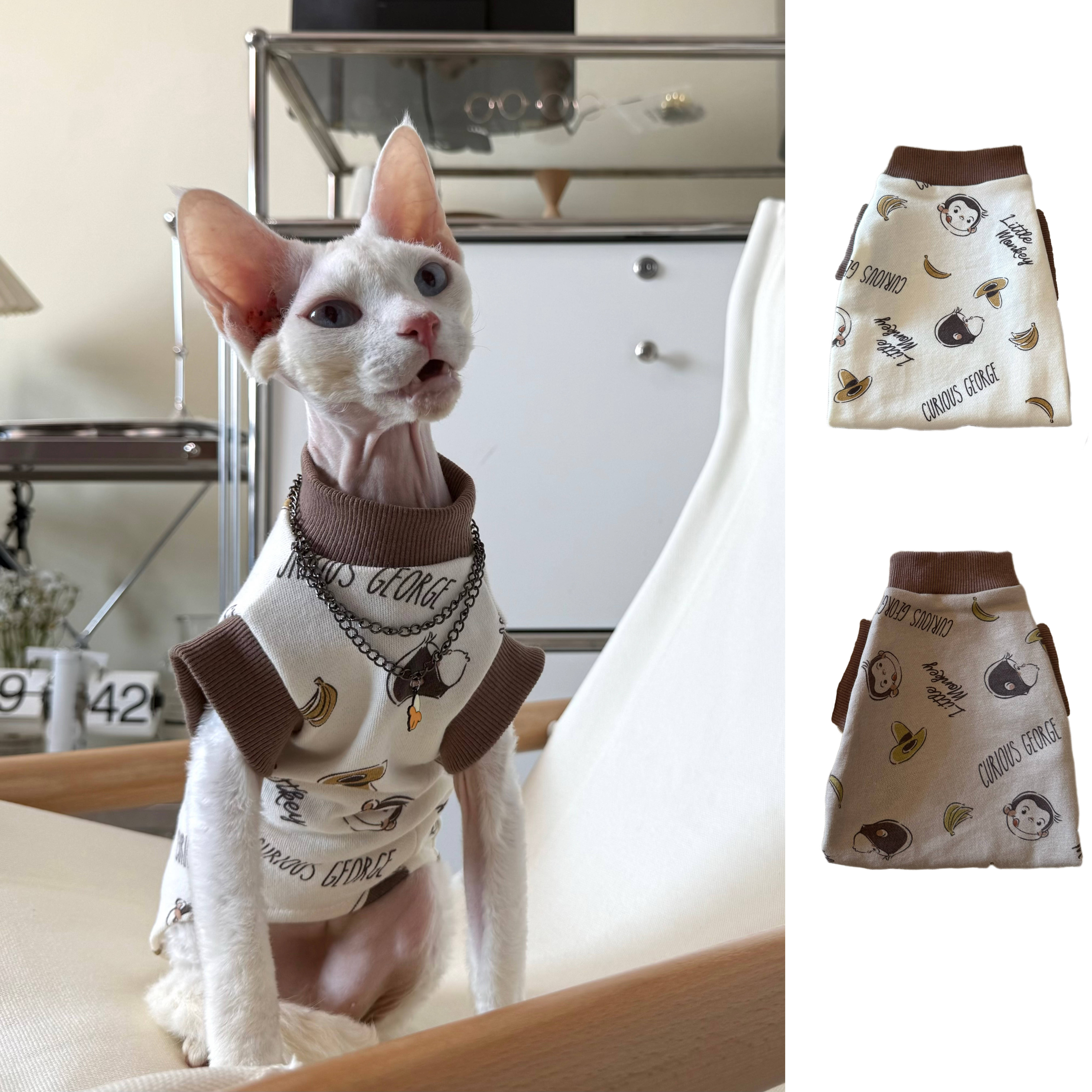 秋冬阿比无毛猫衣服德文毛线圈纯棉卫衣短袖打底衫小猫狗狗外套