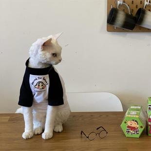 秋冬阿比西尼亚猫无毛猫衣服德文猫韩系纯棉T恤狗狗小猫加绒卫衣