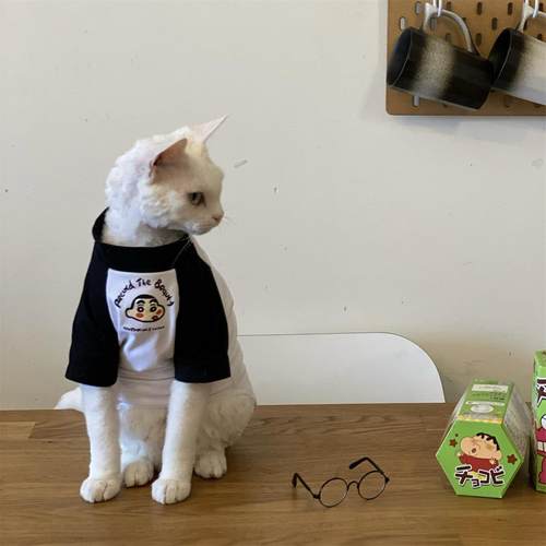 春夏阿比西尼亚猫无毛猫衣服德文猫韩系纯棉T恤狗狗小猫加绒卫衣