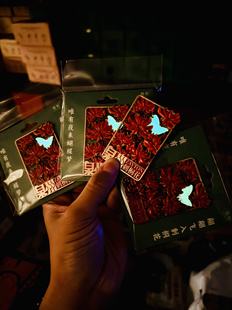 鲤物文创｜泉州刺桐花旅行伴手礼冰箱贴浮雕图夜光发光冰箱贴