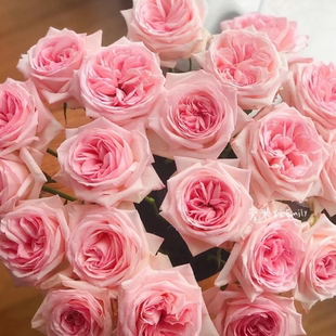 高等级玫瑰 满2单升级顺丰 全场1单 送货上门 包邮 粉荔枝玫瑰