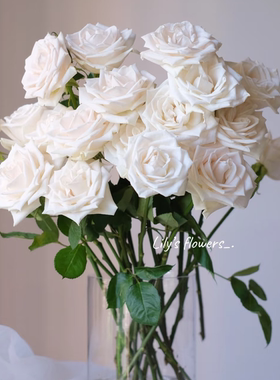 芬德拉玫瑰-高等级玫瑰/全场1单包邮送货上门/满2单升级顺丰包邮