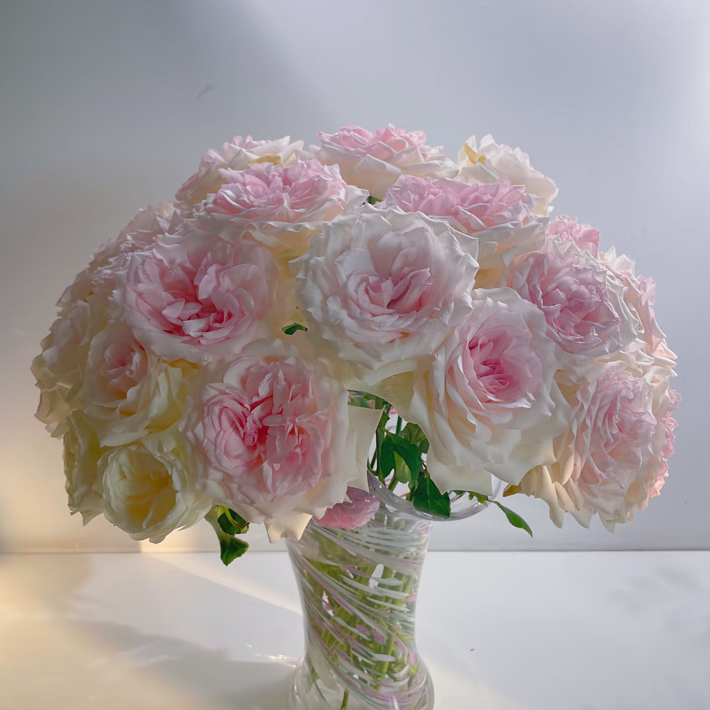 香水女人玫瑰-高等级/全场1单包邮送货上门/满2单升级顺丰包邮,鲜花速递/花卉仿真/绿植园艺,花材,淘宝优惠券,粉丝福利购,淘宝优惠卷