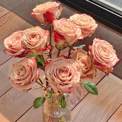 卡布奇诺玫瑰-高等级/全场1单包邮送货上门/满2单升级顺丰包邮