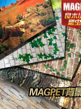 陆龟箱壁纸造景装饰龟箱陆龟鬃狮蜥蜴蛇爬虫饲养箱宠物箱背景纸