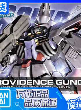 现货 万代 HG SEED R13 1/144 ZGMF-X13A 神意 天意 高达 神尊