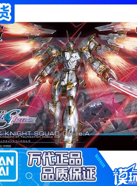 现货 万代 HG 1/144 高达 SEED freedom 剧场版 迦楼罗 神鸟 拼装