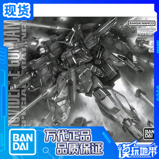 现货 万代 PB限定 MG 1/100 天帝 天意 神意高达 电镀版