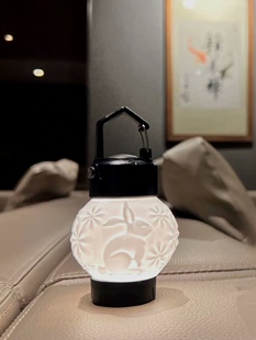 Ledlenser莱德雷神ML4露营嫦娥灯罩复古灯罩黑狗灯罩-不止山丘