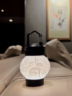 Ledlenser莱德雷神ML4露营嫦娥灯罩复古灯罩黑狗灯罩-不止山丘