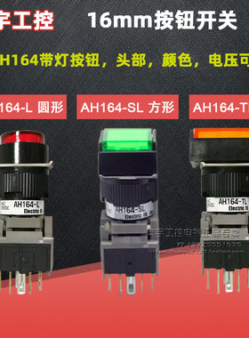 原装正品富士AH164-TLG/SLR/LG11E3 22E3 G Y W 16mm按钮方形矩形