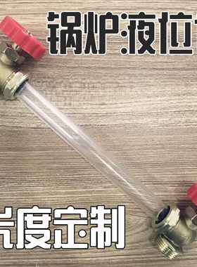 锅炉耐高温高压蒸汽液位计水位计