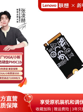 联想原厂固态硬盘SSD YOGA小新笔记本硬盘升级pm9C1b 1T 2242 M.2