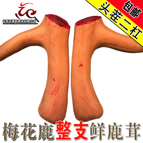 梅花鹿鲜鹿茸干鹿茸男泡酒料鹿鞭