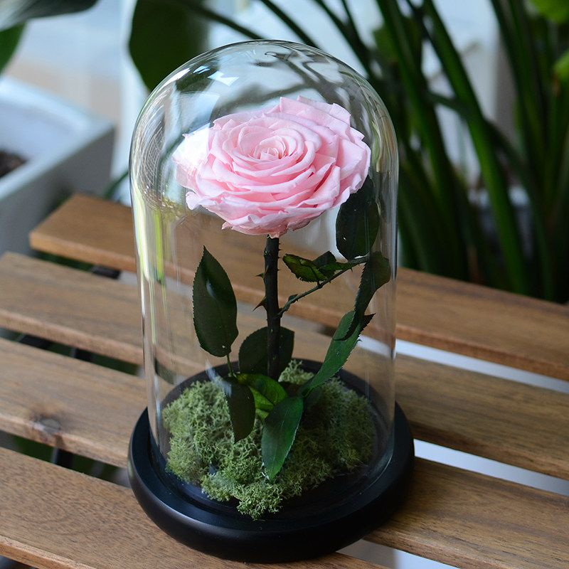 所思 永生花单朵玫瑰花玻璃罩花房送男友女友结婚生日礼物520