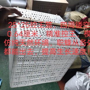胡蜂野化控王25*25笼黄脚七里黑盾野化防上树控王笼子野化控王片