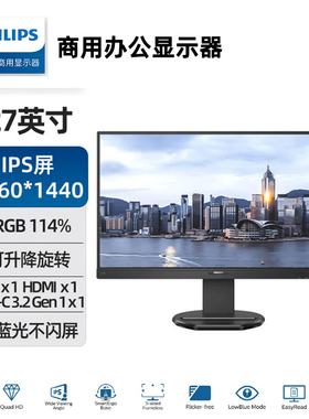 飞利浦商用显示器27寸QHD 2K分辨率276B9/93带音响Type-C接口高亮