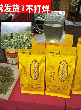2026年正宗黄茶温州平阳黄汤新茶叶150g明前春茶黄小茶闷现货