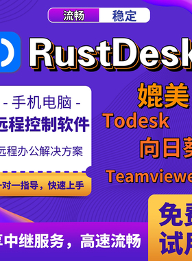 全球Rustdesk中继手机电脑远程控制Todesk专业版会员向日葵远程