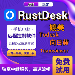 全球Rustdesk中继手机电脑远程控制Todesk专业版会员向日葵远程