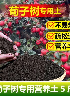 荀子专用土料荀子树营养土开花肥结果茂盛旺长生根发芽长种植家用