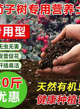 荀子专用土料荀子树营养土开花肥结果茂盛旺长生根发芽长种植家用