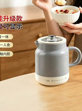 日本进口电炖杯多功能全自动煮茶