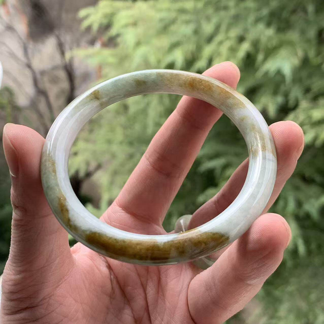 缅甸A货翡翠手镯军绿色底黄翡圆条手镯8.1/8.5/57.9mm一物一证