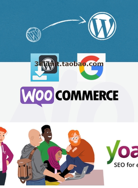 php wordpress wp插件plugin搜索SEO商城WooCommerce支付接口开发