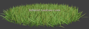 草坪模型obj格式带贴图适用于3dMax C4D 犀牛rhino Maya sketchup