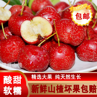 新鲜山楂糖葫芦无添加水果